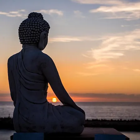 Sandhi House - Yoga & Wellness Guest house Ericeira