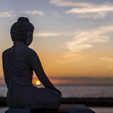 Guest house Sandhi House - Yoga & Wellness